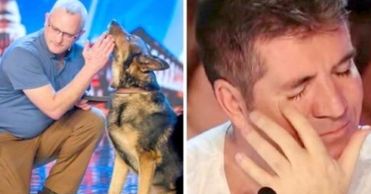 Rendőrkutyát leszúrtak a kötelesség teljesítésében, Simon Cowell könnyekkel küzd a BGT-n